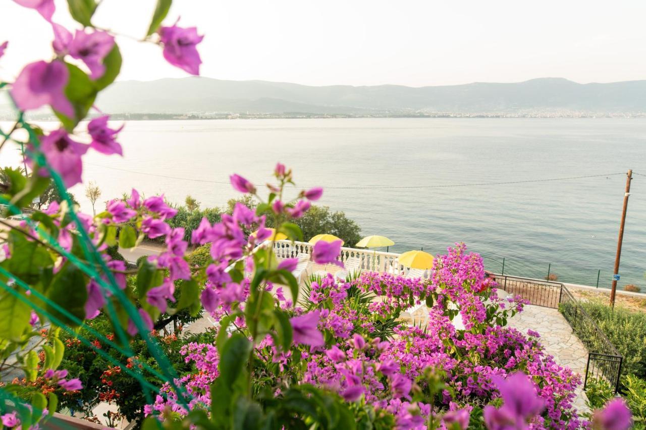 Villa Fjaba - By The Sea - With The Big Terraces & Great Sea View Trogir Buitenkant foto